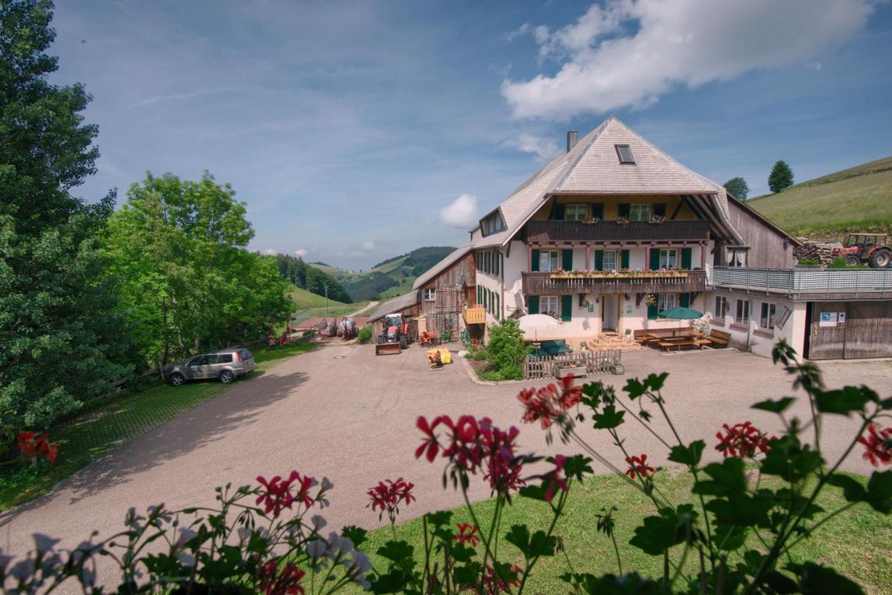 Mittlerer Itzenwaldhof - Heimkehr Münstertal Exterior foto