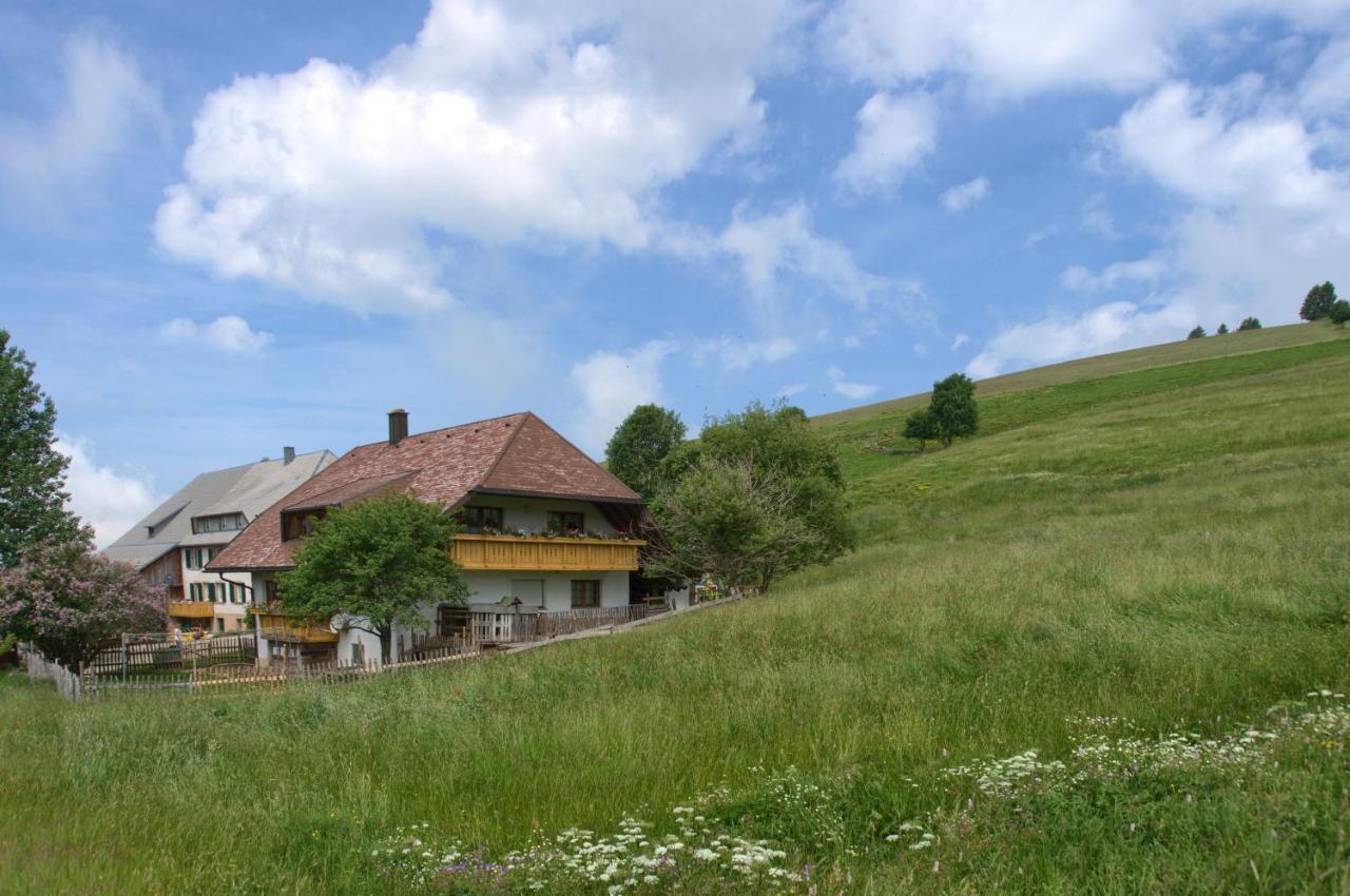 Mittlerer Itzenwaldhof - Heimkehr Münstertal Exterior foto