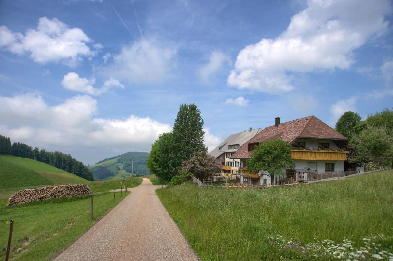 Mittlerer Itzenwaldhof - Heimkehr Münstertal Exterior foto